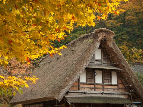 The Magnificent Mountains of Autumn: Japan’s World Heritage Villages Keep the Old Ways Alive ...