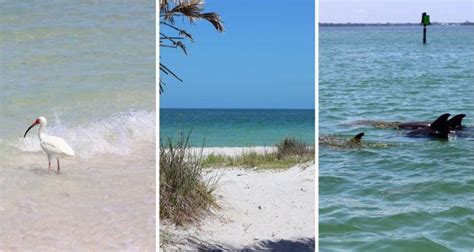 Why You Should Visit Caladesi Island State Park & What You Need To Know ...