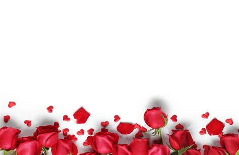 Discover more than 59 red roses background wallpaper latest - in.cdgdbentre