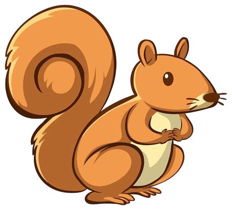 Squirrel Images - Free Download on Freepik