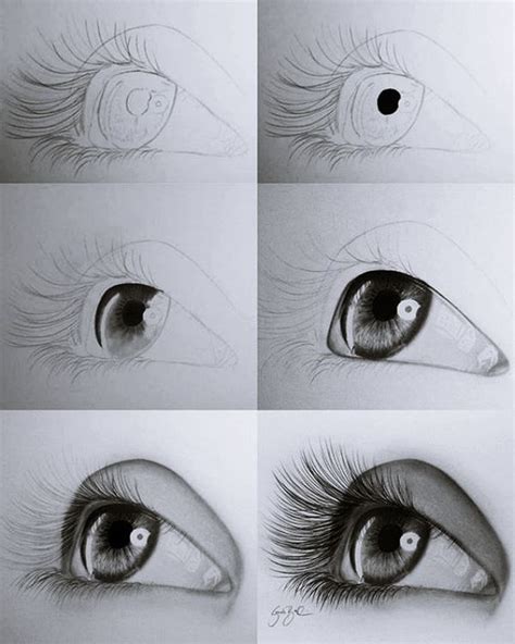 Realistic drawing for beginners - lassabear