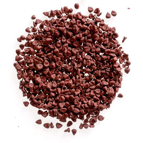 Bulk Annatto Seed Whole | Achiote