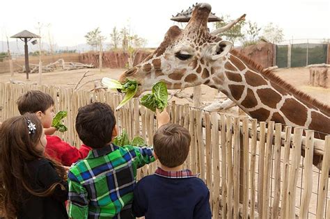 El Paso Zoo Society Celebrates 1st Ever Dia De Los Muertos Gala