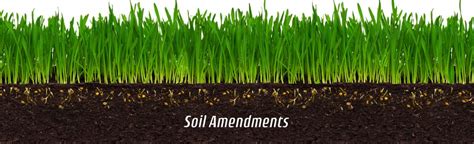 Best Organic Soil Amendments - Pureganix | What is a Soil Amendment?