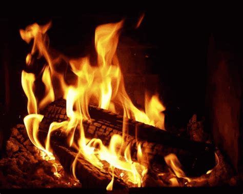 Bonfire Camping GIF - Bonfire Camping Fire - Discover & Share GIFs