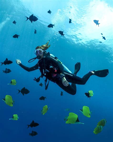 Maldives Scuba Diving Liveaboard Review | Visit maldives, Diving, Maldives