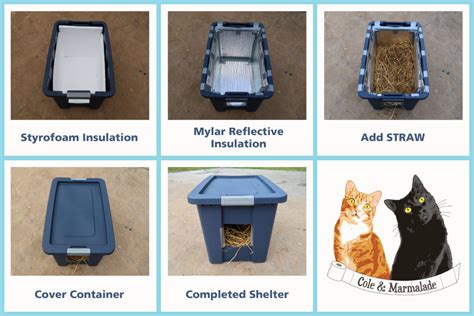 How To Build A Feral Cat Shelter - Cole & Marmalade