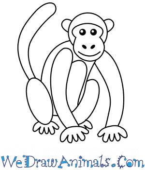 How to Draw a Simple Monkey for Kids