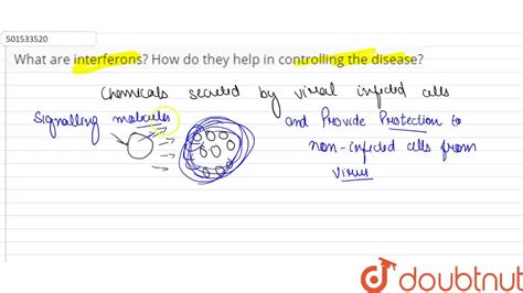 What are interferons? How do they help in controlling the disease?