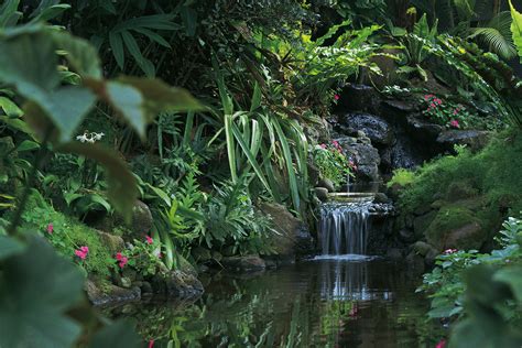 How Does the Climate Affect the Ecosystem of the Rainforest? | Sciencing