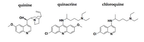 A mechanism of action hypothesis