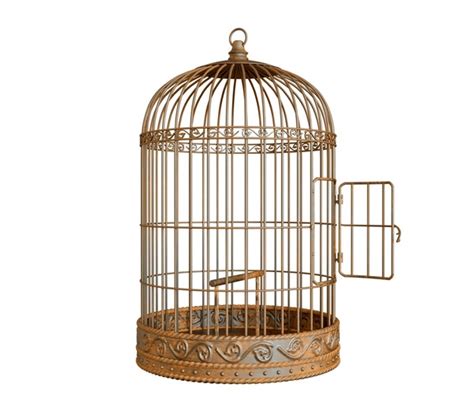 31,875 Birdcage Royalty-Free Images, Stock Photos & Pictures | Shutterstock