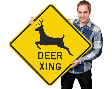 Deer Crossing Signs