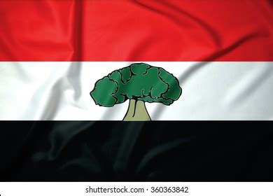 Flag Oromia Ethnicallybased Regional States Selfgoverning Stock Illustration 360363842 ...