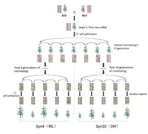 遗传图谱能做哪些分析？-基迪奥生物