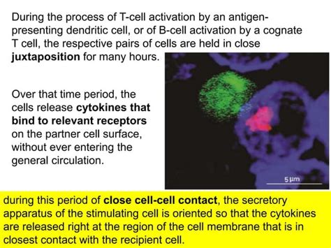 Cytokine signaling pathway