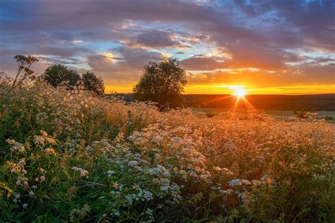 Природа на фоне заката | Пикабу