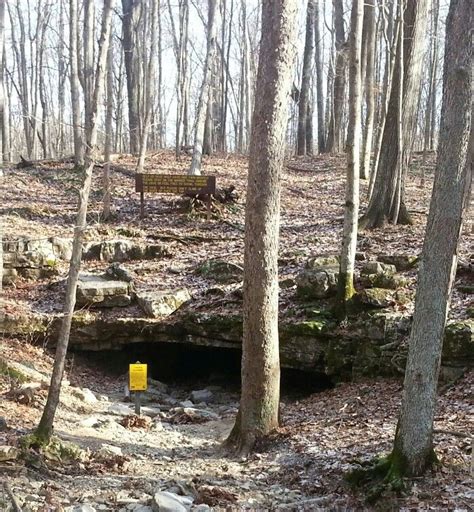 Wolf Cave - McCormick's Creek State Park, Indiana | State parks, Indiana travel, Cool places to ...