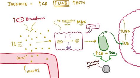 Can Pancreatitis Cause Jaundice In Dogs