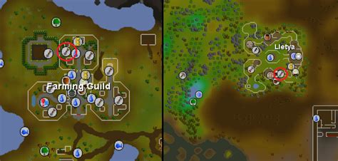 OSRS Efficient Farming Guide 1-99