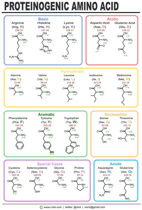 Amino Acid Symbols Chart