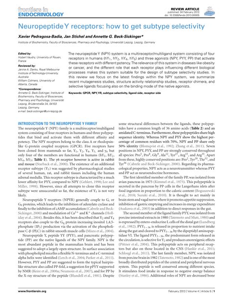 (PDF) Neuropeptide Y receptors: How to get subtype selectivity