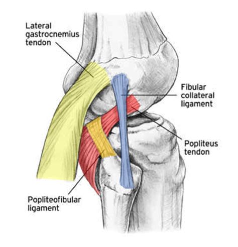 Posterior lateral corner injury