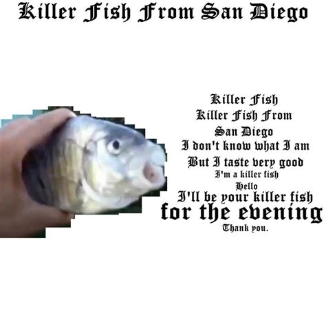 Killer Fish From San Diego | Killer Fish From San Diego | Disowned ...