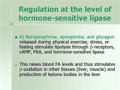 Hormonal regulation of lipid metabolism mirka rovenskalfmotol cuni