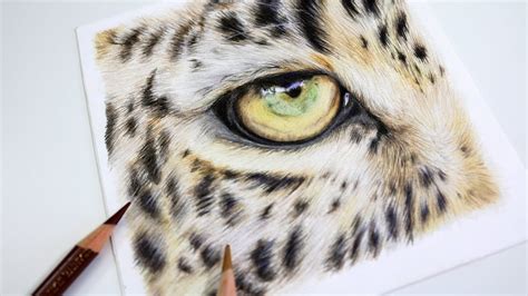 Cheetah Eye Drawing