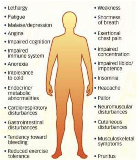 Aplastic Anemia Symptoms