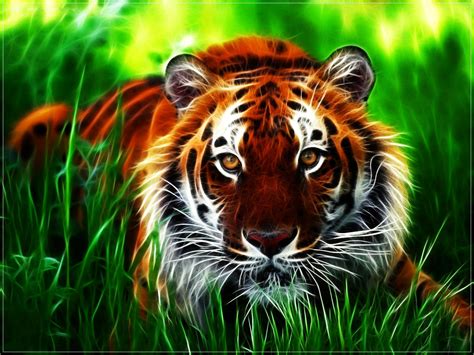 Cool Tiger Backgrounds - Wallpaper Cave