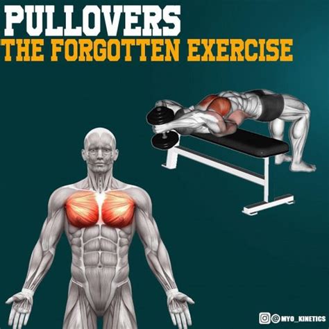 Pullovers the forgotten exercise! This exercises is a great addition to ...