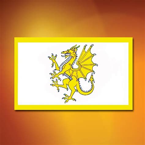 Golden Welsh Dragon Flag - Costumes and Collectibles