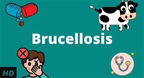 Brucellosis: Diagnosis and Treatment