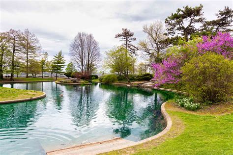 What Does It Cost To Build A Lake In Your Garden? | Checkatrade