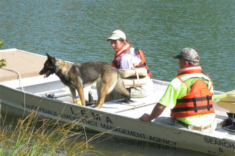 How Are Cadaver Dogs Trained