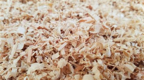 Bulk Shavings - NW Dry Shavings