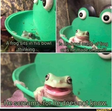 A frog sits in his bowl thinking... is he made ofbowl? does - iFunny