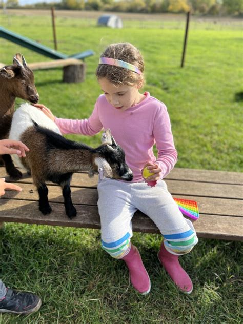 Pom Poms and Pygmy Goats! – Copthill School