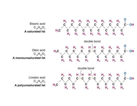 Lipid Polymer Structure