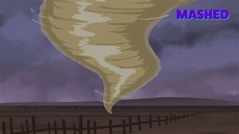 Crazy Weather GIFs - Get the best GIF on GIPHY