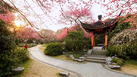 杭州植物园灵峰探梅景区 - 风景名胜区 - 首家园林设计上市公司