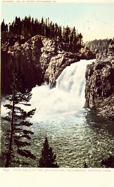 Upper Falls of The Yellowstone - Yellowstone National Park Postcard