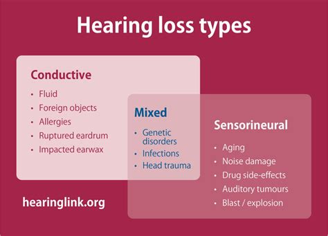 What Is Tinnitus: It's Causes, Effects and Brain Connections - kienitvc ...