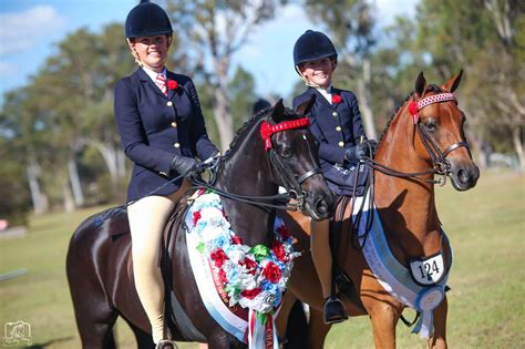 Pryde's Easifeed Horse of the Year | Equestrian Queensland