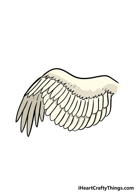 Owl Wings Drawing