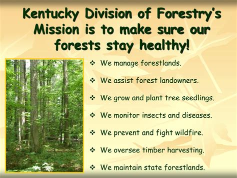 PPT - Kentucky Division of Forestry PowerPoint Presentation, free download - ID:3290059