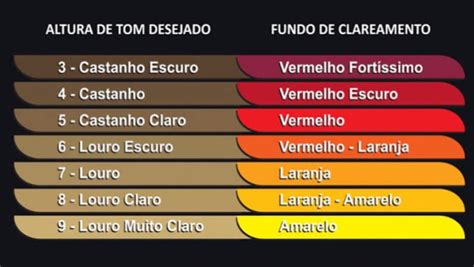 Colorimetria Capilar na Prática – Blog S'ollér Brasil