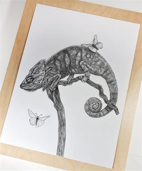 Chameleon Original Pencil Drawing - Etsy